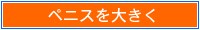 増大 ペニスを大きく