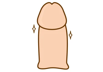 太くたくましいペニスに！